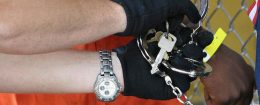 A corrections officer releases handcuffs