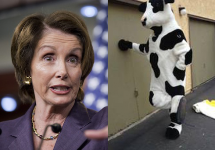 Nancy Pelosi Chick Fil A Cow