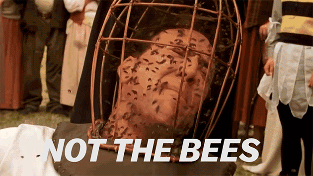 Nicolas-Cage-Not-The-Bees