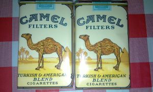 camel