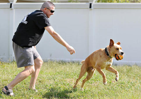 Todd Oslen, who suffers with PTSD, plays with his service dog Hager / AP