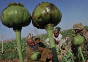 An Afghan law enforcement professional embedded with the Marine Corps questions an opium poppy farmer in Helmand province