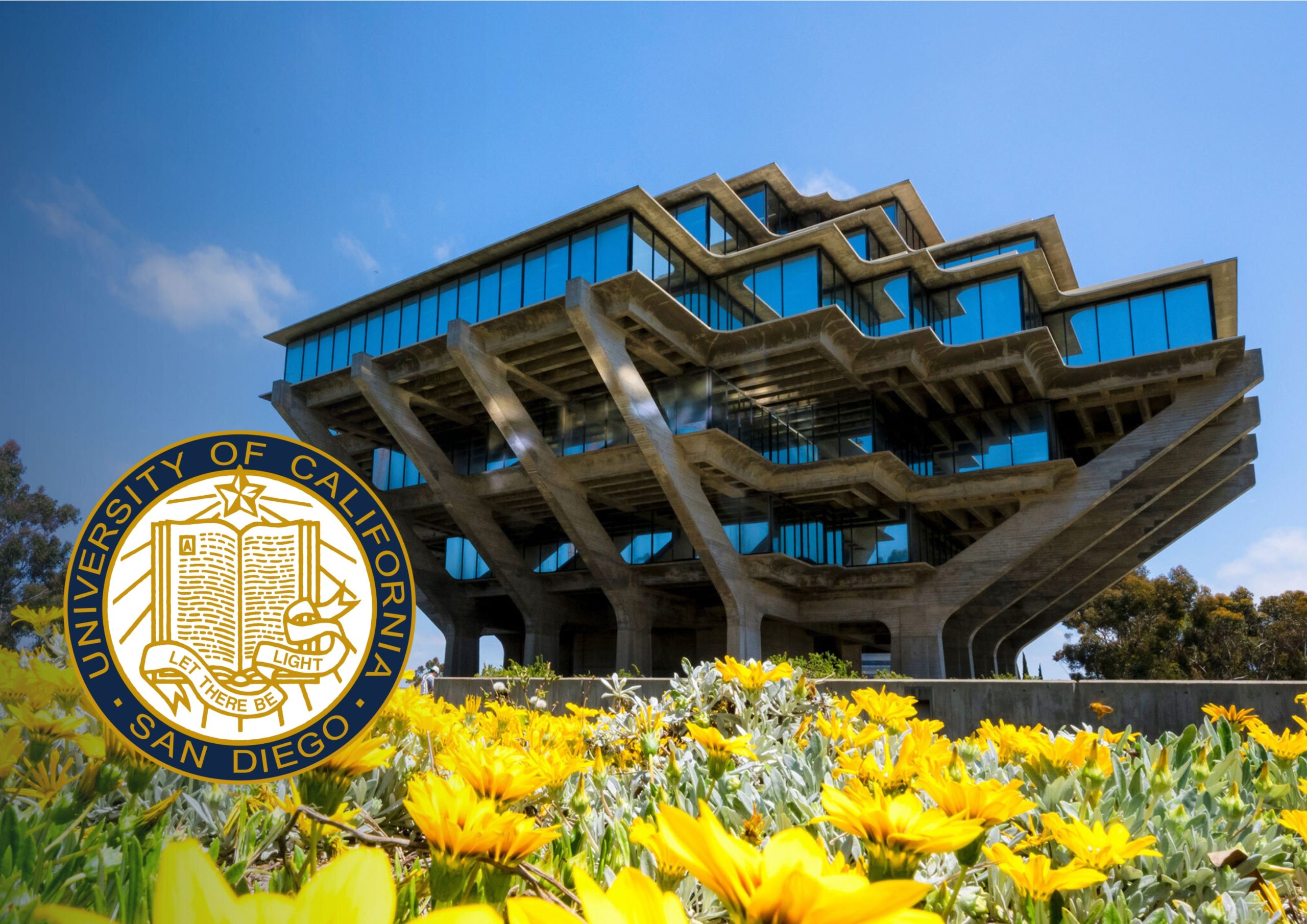 UC San Diego Thought It Found a Loophole To Offer Race-Based Scholarships. Now It’s Being Sued Under the KKK Act.